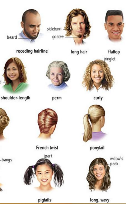 English Vocabulary and Speaking about Hair Styles – Shwe English Lessons