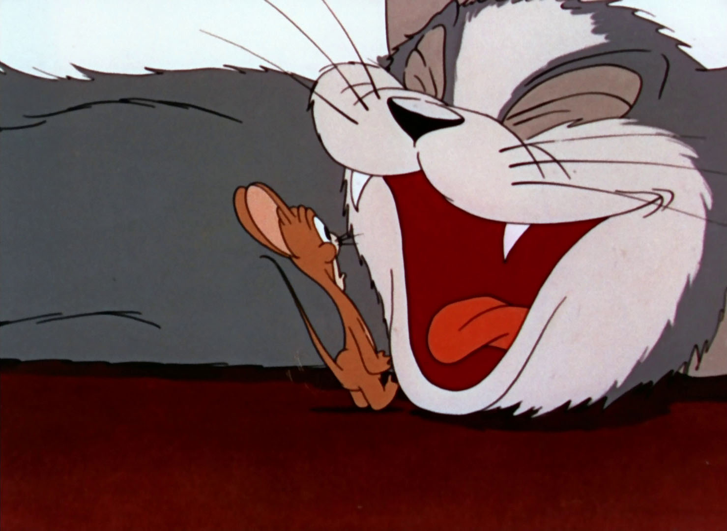 том и джерри 1940 1. том и джерри фильм 1940. тома и джерри 1940. первый том и джерри 1940. том и джерри первая серия 1940.