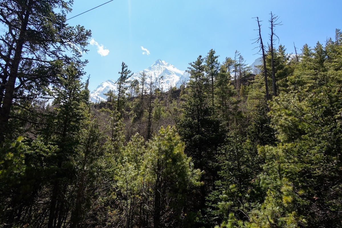 200км по красно-белым черточкам.. Around Annapurna. март-апрель 2017