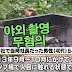 AV촬영 52명 공연외설 혐의 없음 처분 야외 촬영 이제가능하다?