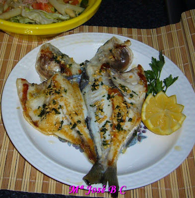 Dorada+a+la+espalda.JPG