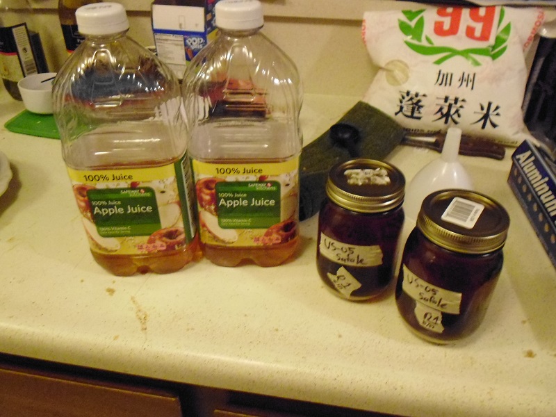 Brown Sugar Hard Apple Cider Recipe + Upgraded Brew Closet Greens