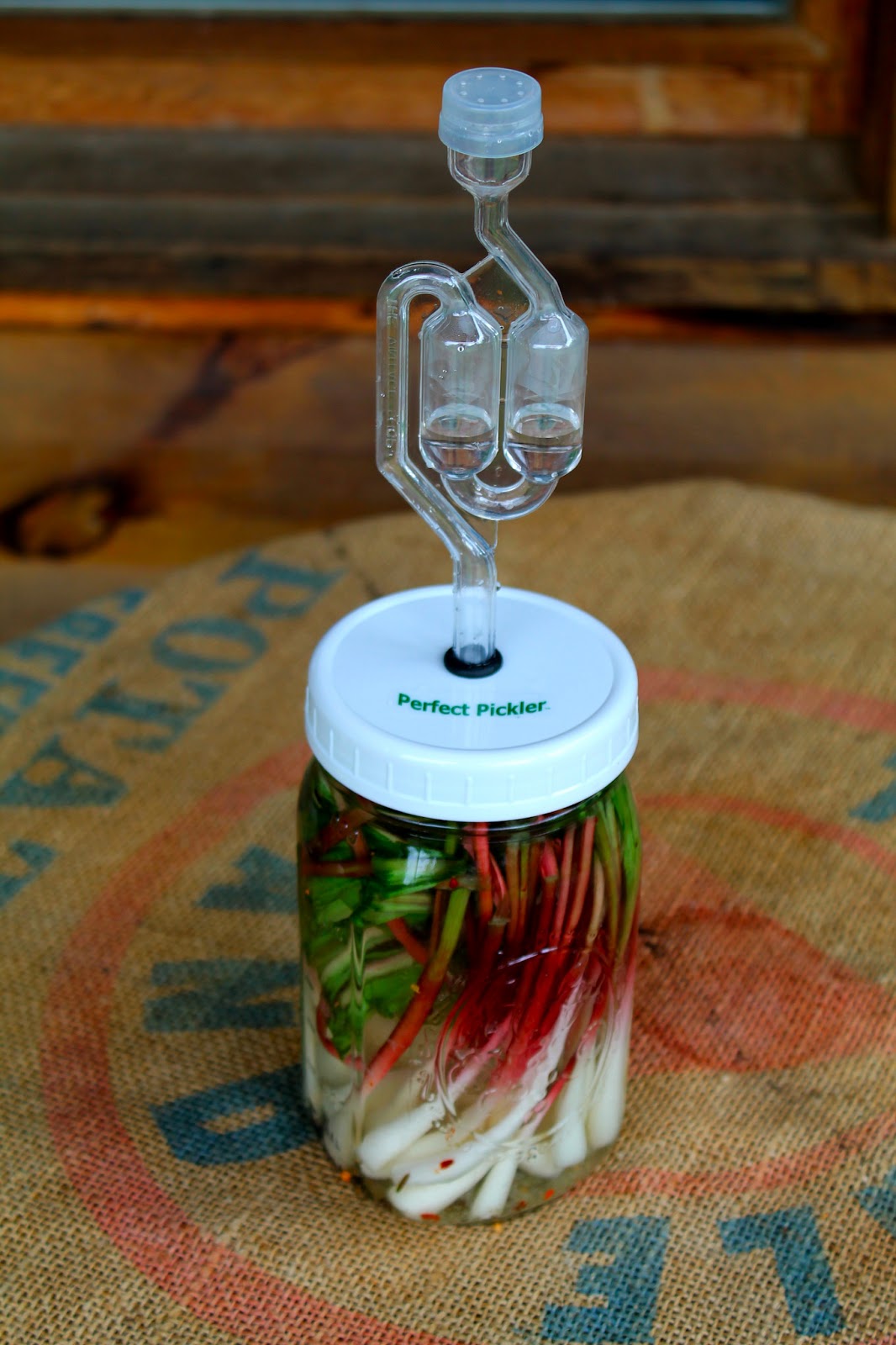 Lettuce Turnip the Beet Brine Pickling vs. Vinegar Pickling