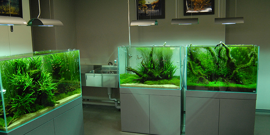 Jasa Pembuatan Meja Aquarium Aquascape Bandung ~ KINDOW ...