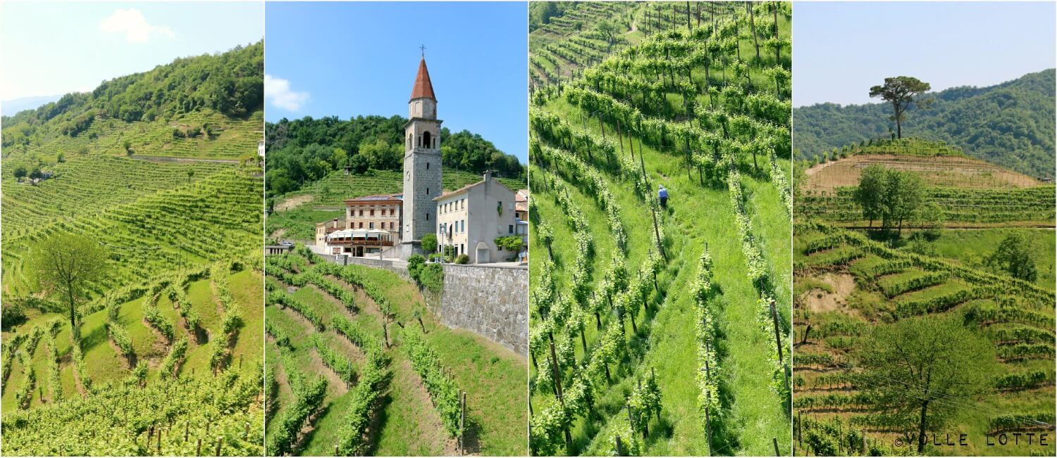 Nachrichtenarchiv Darc