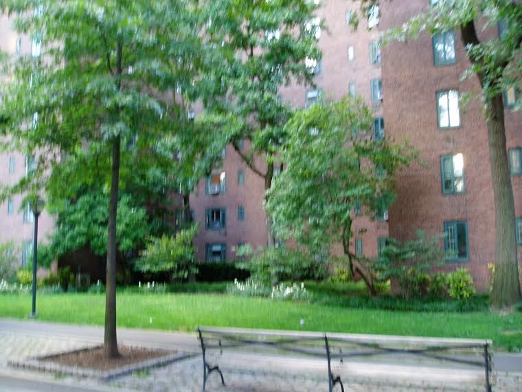 The Stuyvesant Town Report Photos....