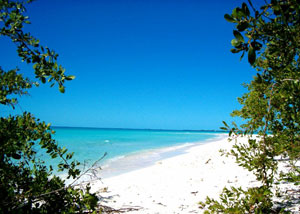 Cayo Largo Cuba: BEST BEACHES CAYO LARGO