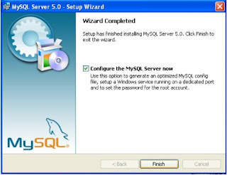 How to Install MySQL on Windows