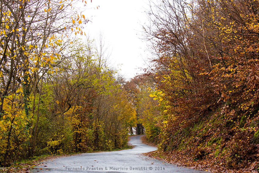 caminho pro castelo de burg-eltz caminho pro castelo de burg-eltz
