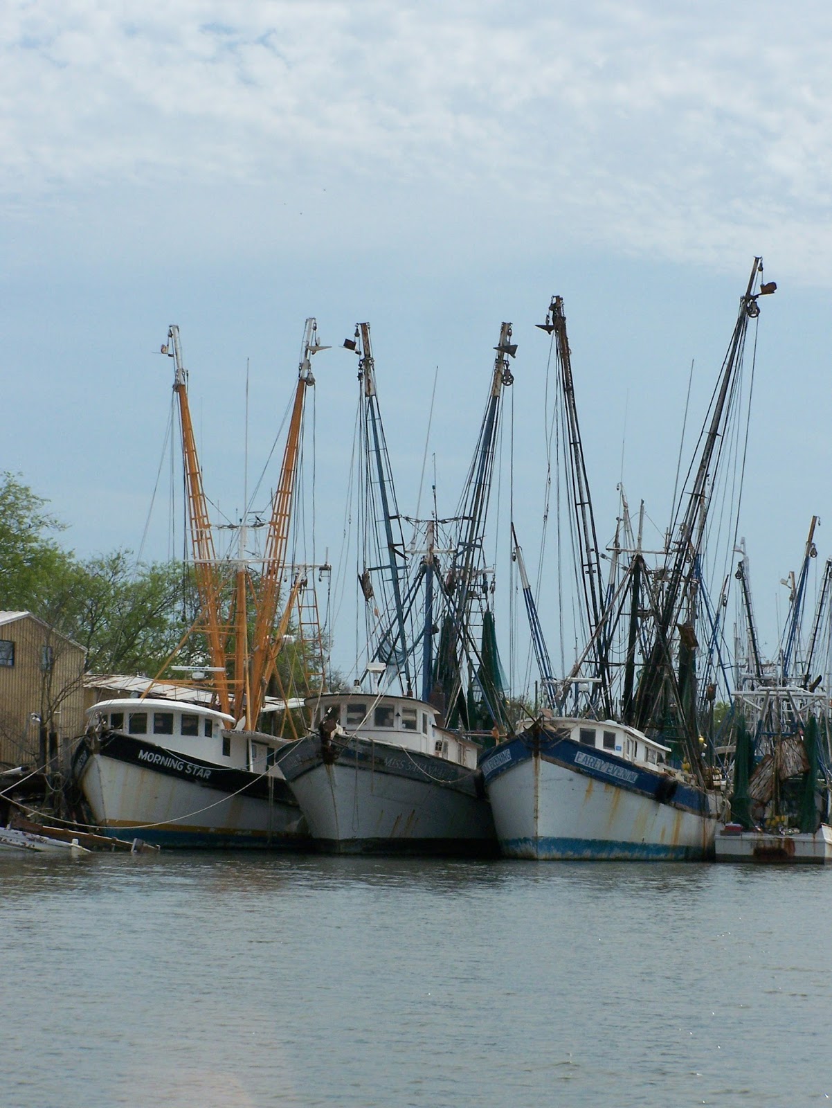 The Beauty that Surrounds Us Shrimp Boats...Working Art in Motion