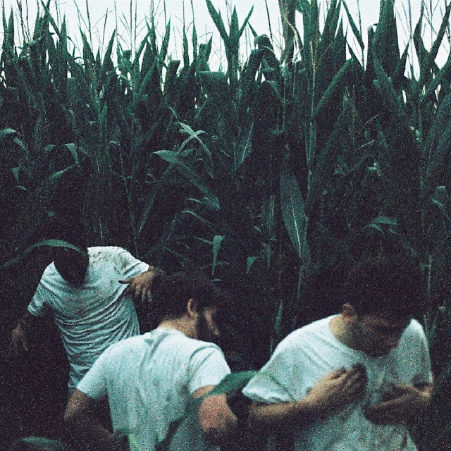 whales-omnichord-records-novo-single