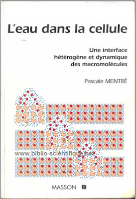 L'eau dans la cellule, Une interface hétérogène et dynamique des macromolécules - Pascale Mentré L'eau dans la cellule, Une interface hétérogène et dynamique des macromolécules - Pascale Mentré
