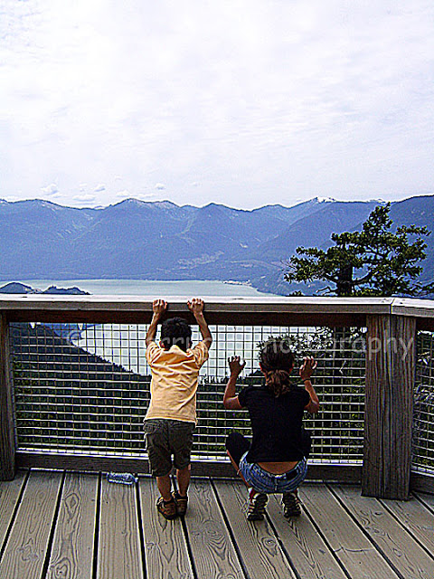 http://with2kidsintow.blogspot.ca/2015/06/how-to-ride-sea-to-sky-gondola-for-only.html