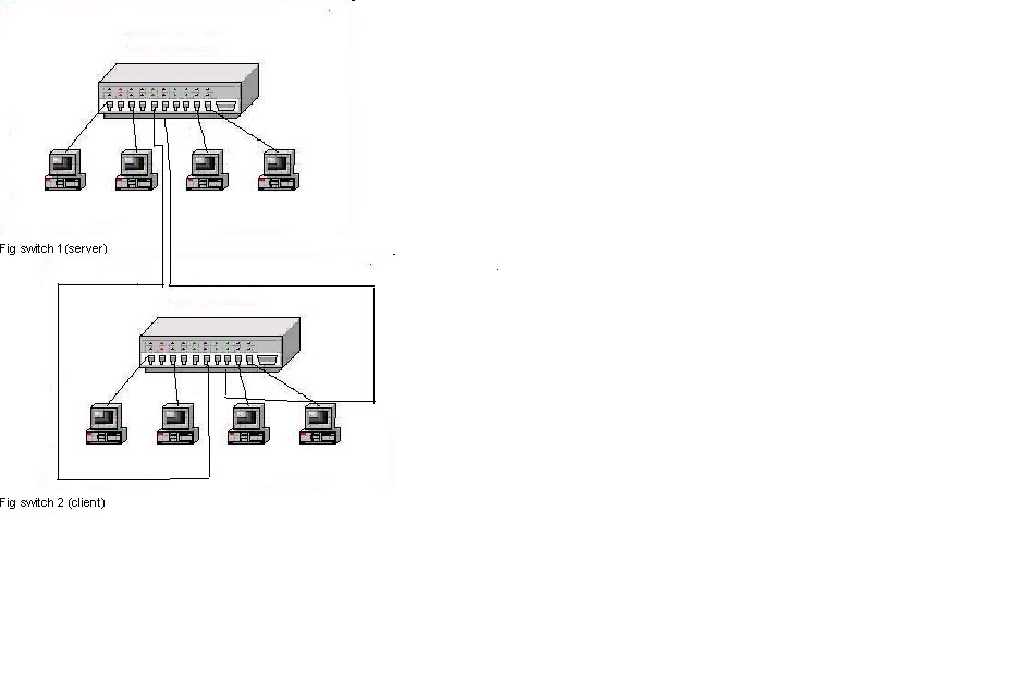 to the IT & Networking world To establish trunking using VTP