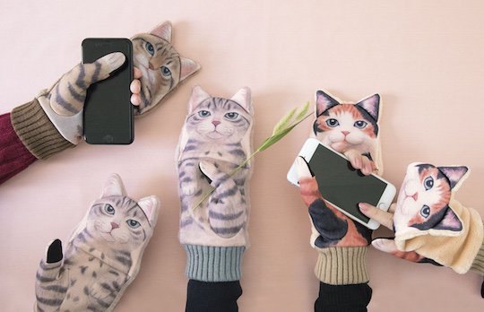 15 Must Have Cat Themed Products for You.