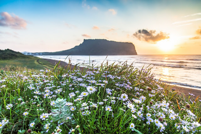 http://www.erichevesyphotography.com/galleries/jeju-photos/#jp-carousel-403