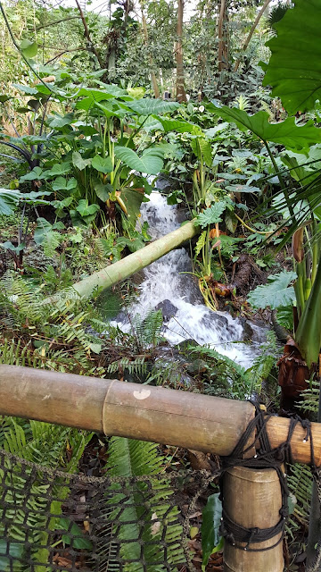 20170128_104812.jpg