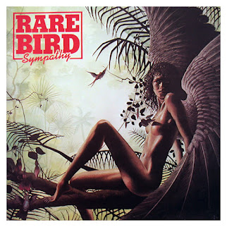Sympathy Rare Bird