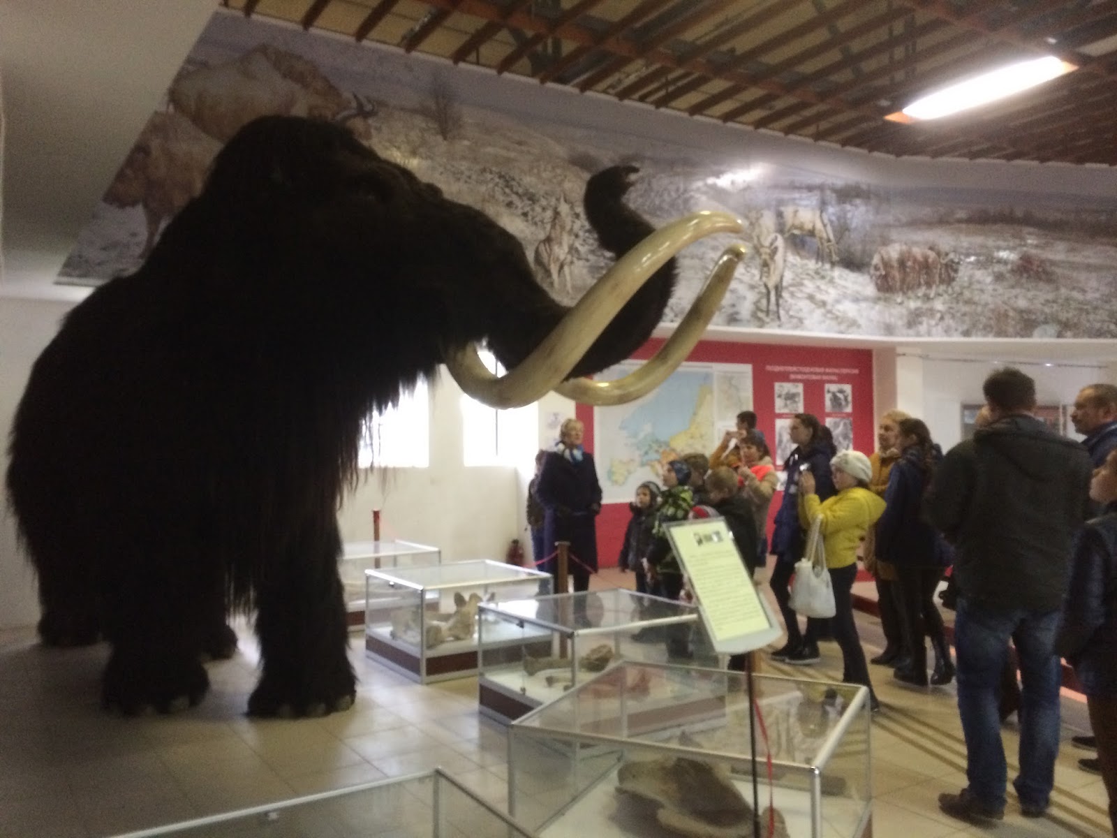 музей костенки