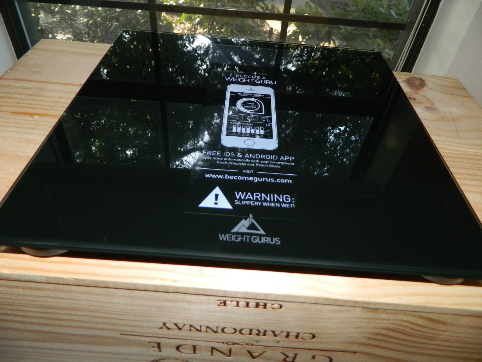 TiffsPixieDust: Weight Gurus Digital Bathroom Scale