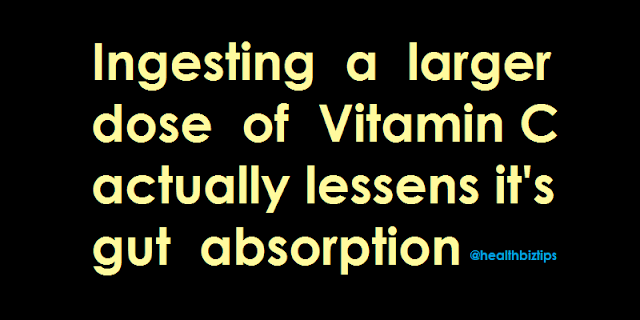 Ingesting a larger dose of Vitamin C actually lessens it's gut absorption.