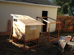 run coop chicken pink chickens under foodie finished materials cost total together