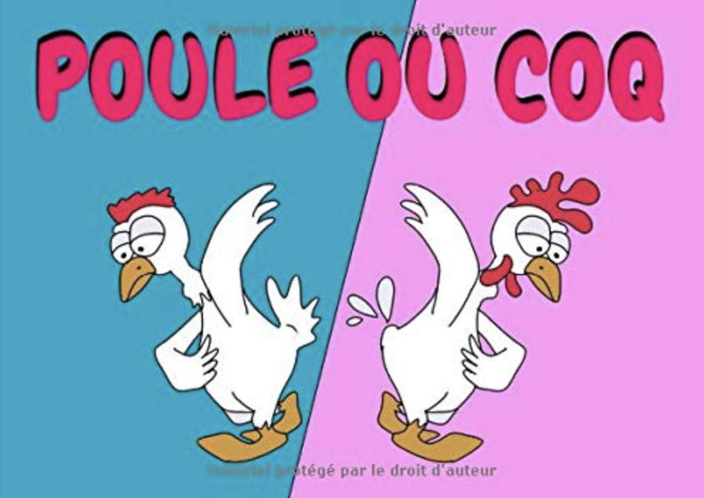 GayThemed Picture Books for Children Poule ou coq L’œuf bleu