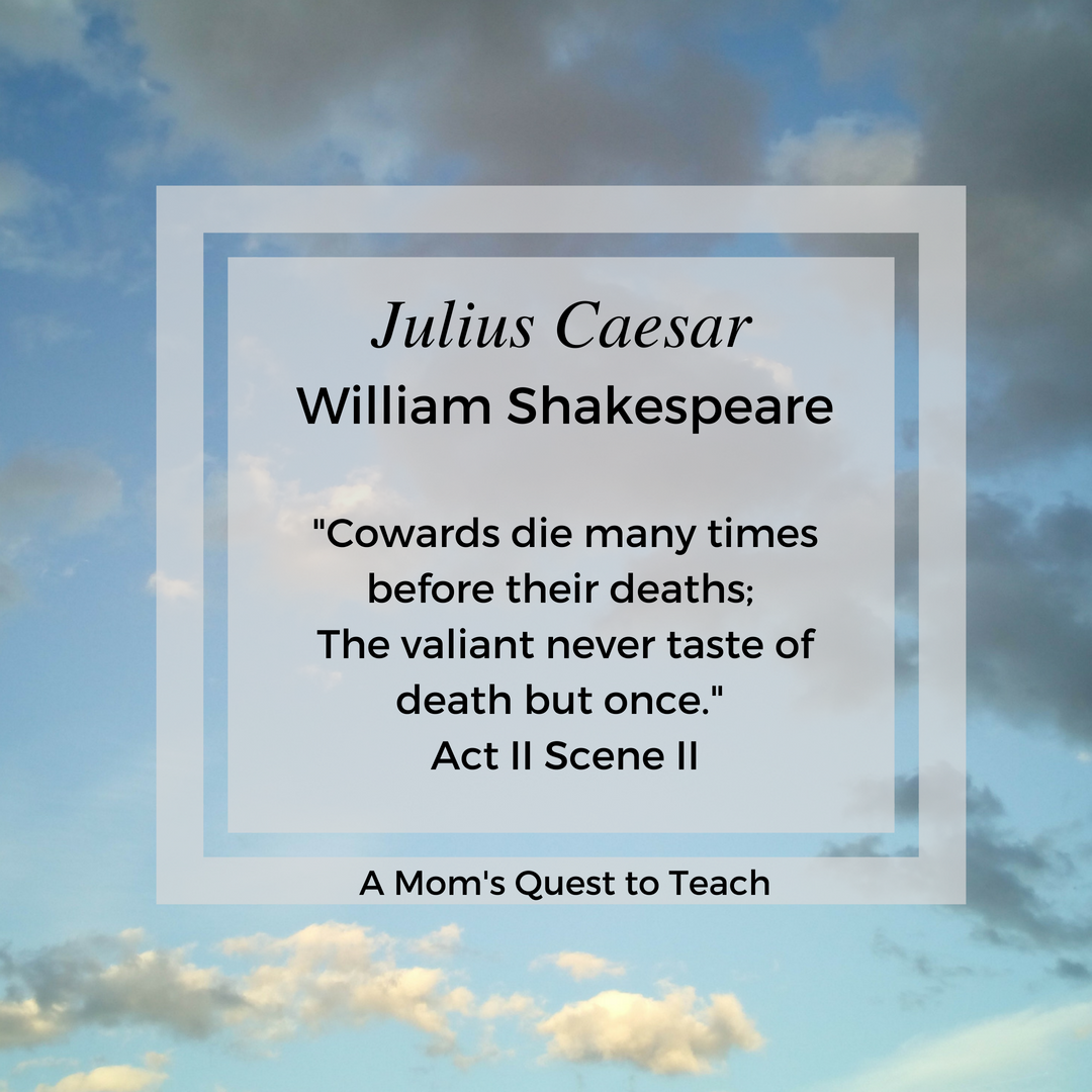 A Mom's Quest to Teach A Brief Journey through the Quotes of