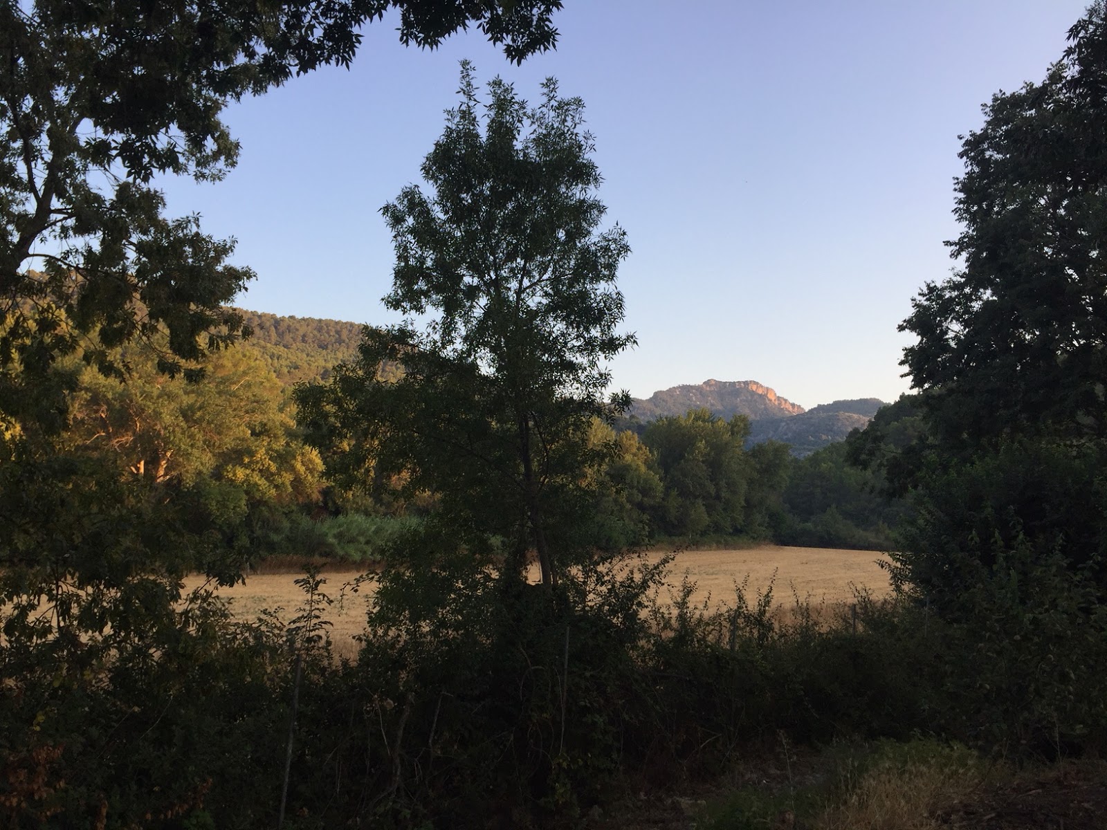 [64+] Prix Piercing Levre Du Bas Tatouage Web