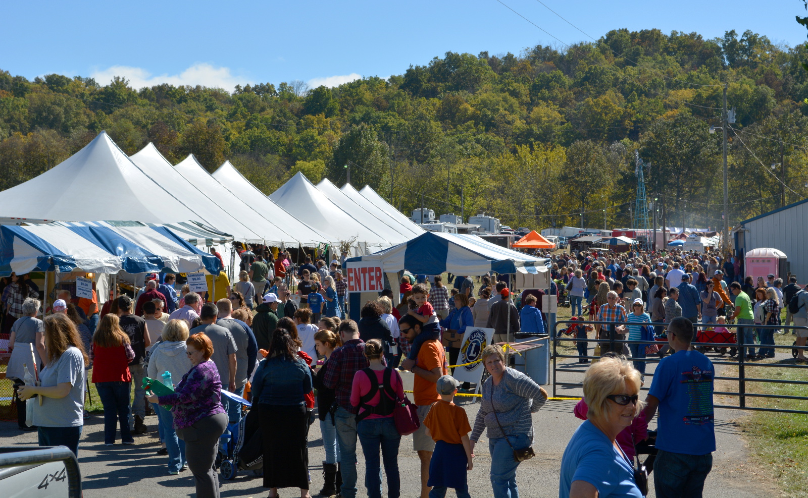 the cozy birdhouse kentucky wool festival