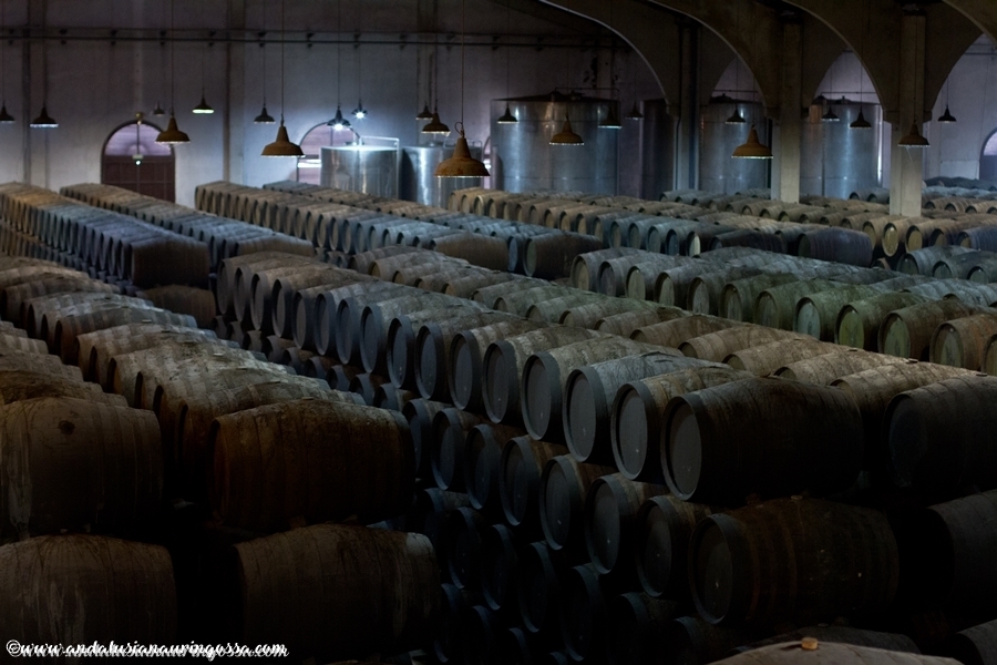 Andalusian auringossa_ruokablogi_viiniblogi_sherry_viinimaailman vaarinymmarretty suuruus
