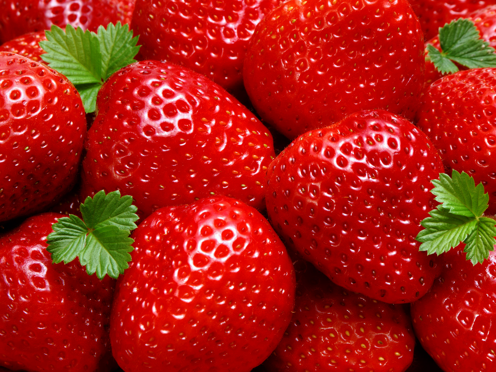  Fresh Strawberries Photography HD Wallpapers Desktop 