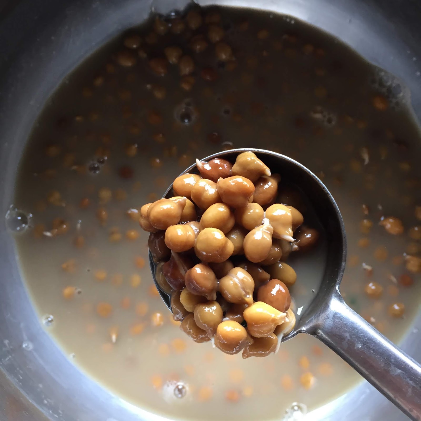MASTERCHEFMOM Palak Channa Spinach and Black Garbanzo Bean Curry Recipe