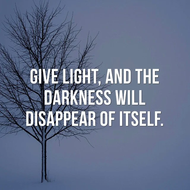 Give light, and the darkness will disappear of itself. - Good Quotes