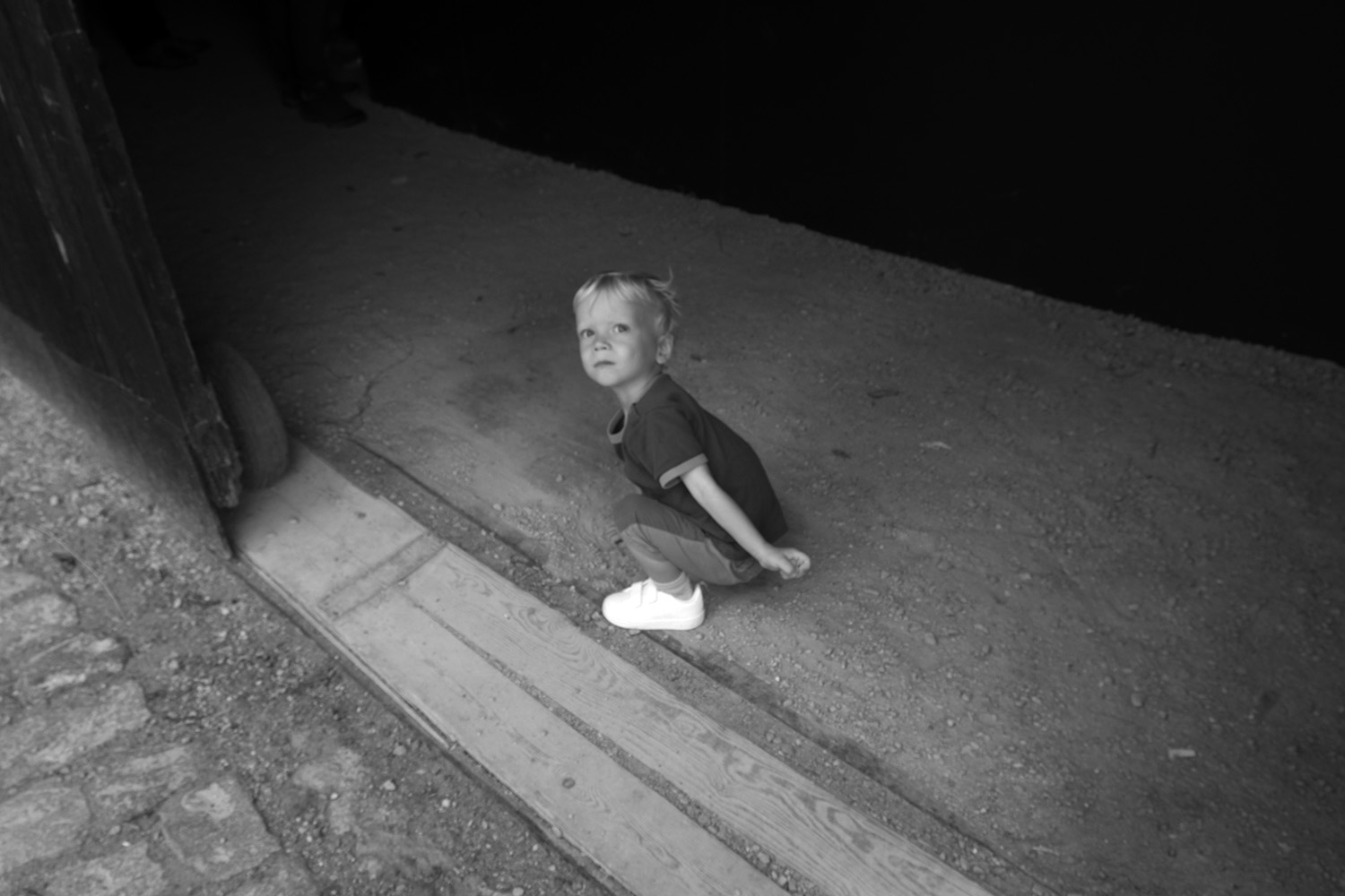 het-leven-als-voorlopige-oplossing-4886