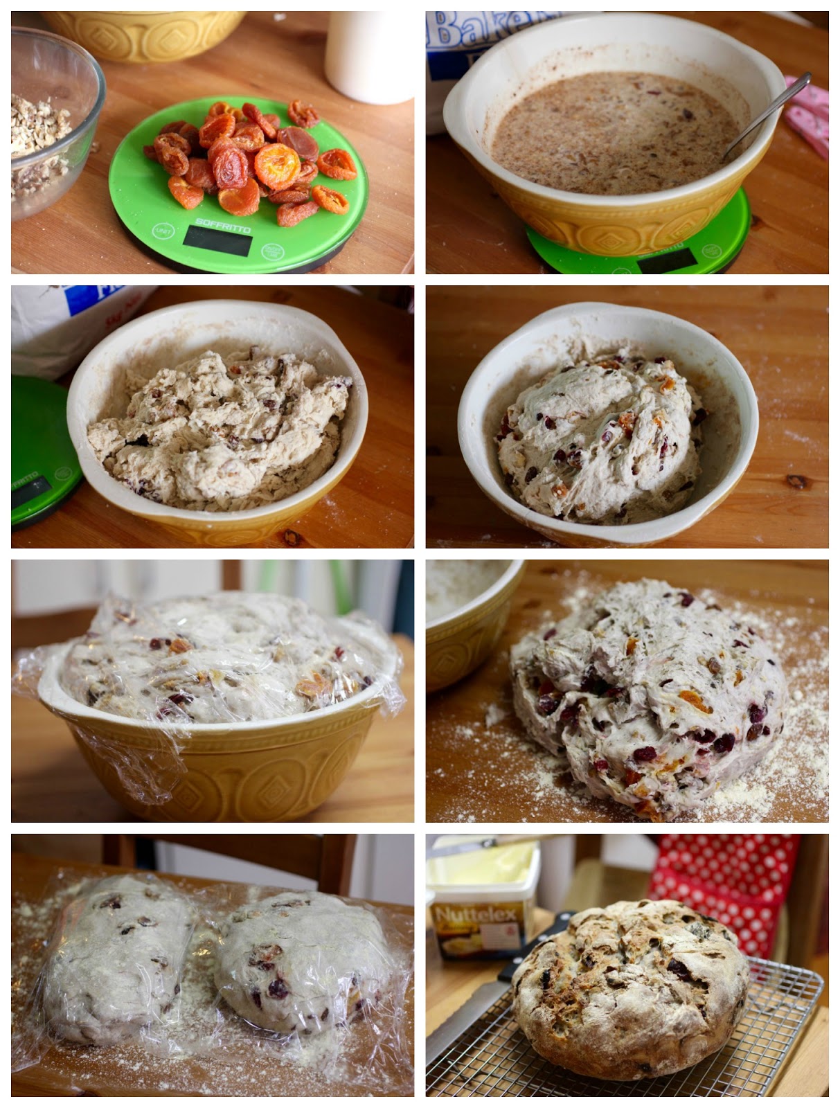 Green Gourmet Giraffe No Knead Overnight Sourdough Fruit Bread