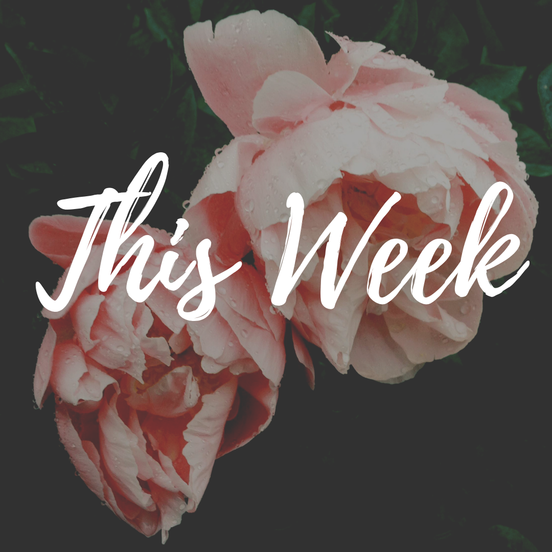 this-week-cardigan-chic