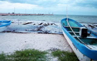Playas Yucatan Chicxulub