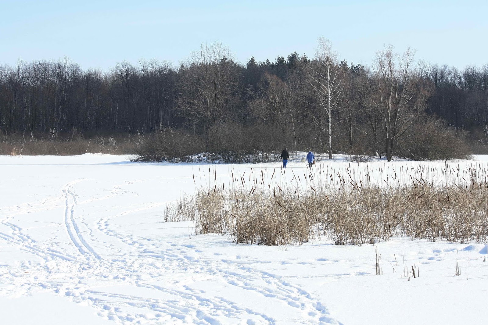 хутор лопатино лямбирский район. хутор лопатино фото. село лопатино лямбирский район мордовия. хутор лопатина краснодарский край. хутор лопатино мордовия.