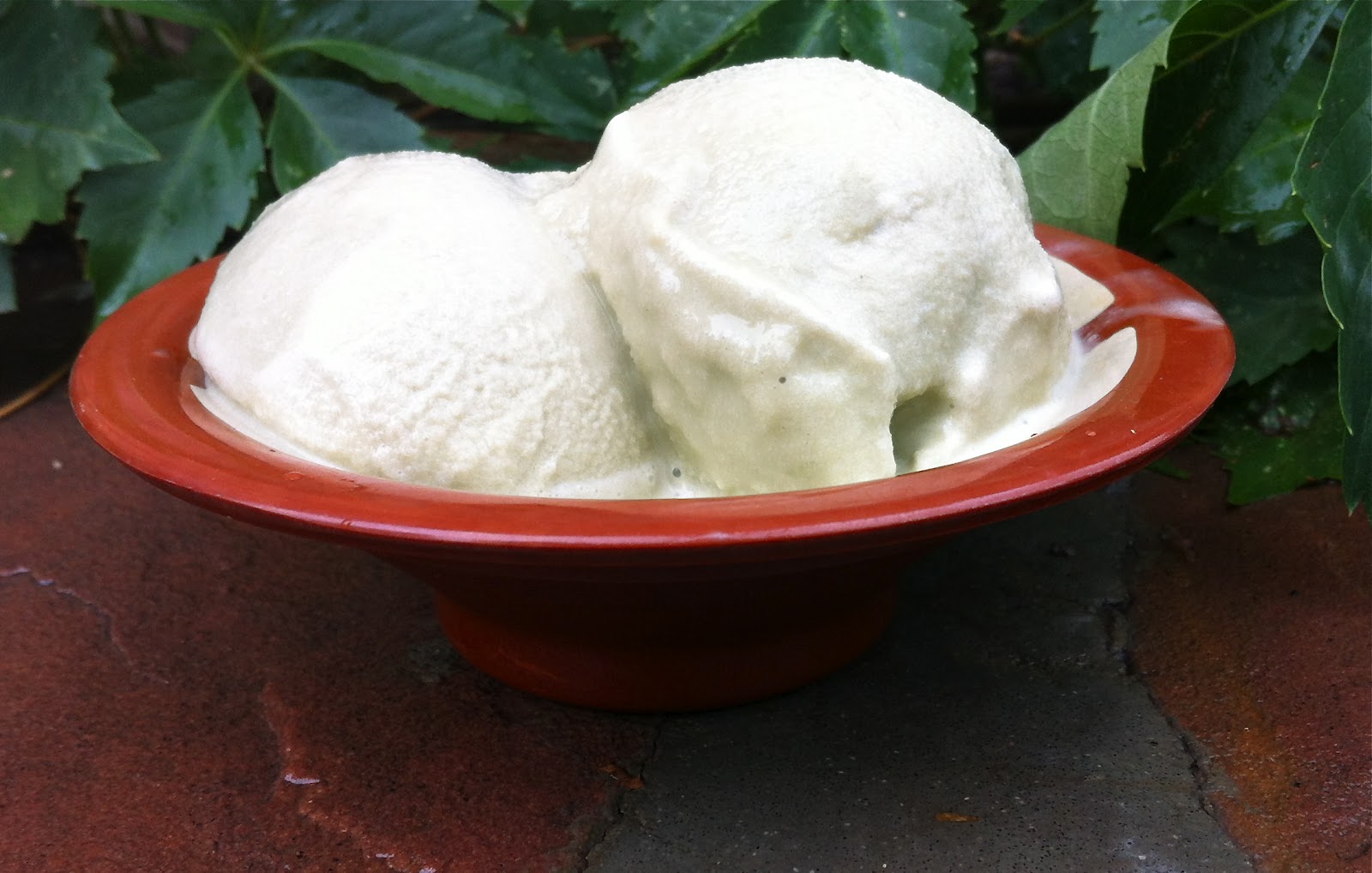devour Vegan Green Tea Ice Cream