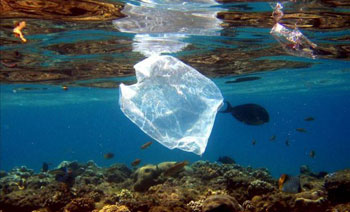 contaminación del mar por bolsas plasticas