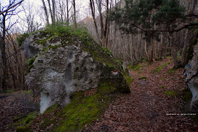 Monte Epomeo, Frassitelli Ischia, Falanga Ischia, trekking Ischia, Pietra dell' Acqua, Case nella Pietra, Fosse della Neve, Foto Ischia,