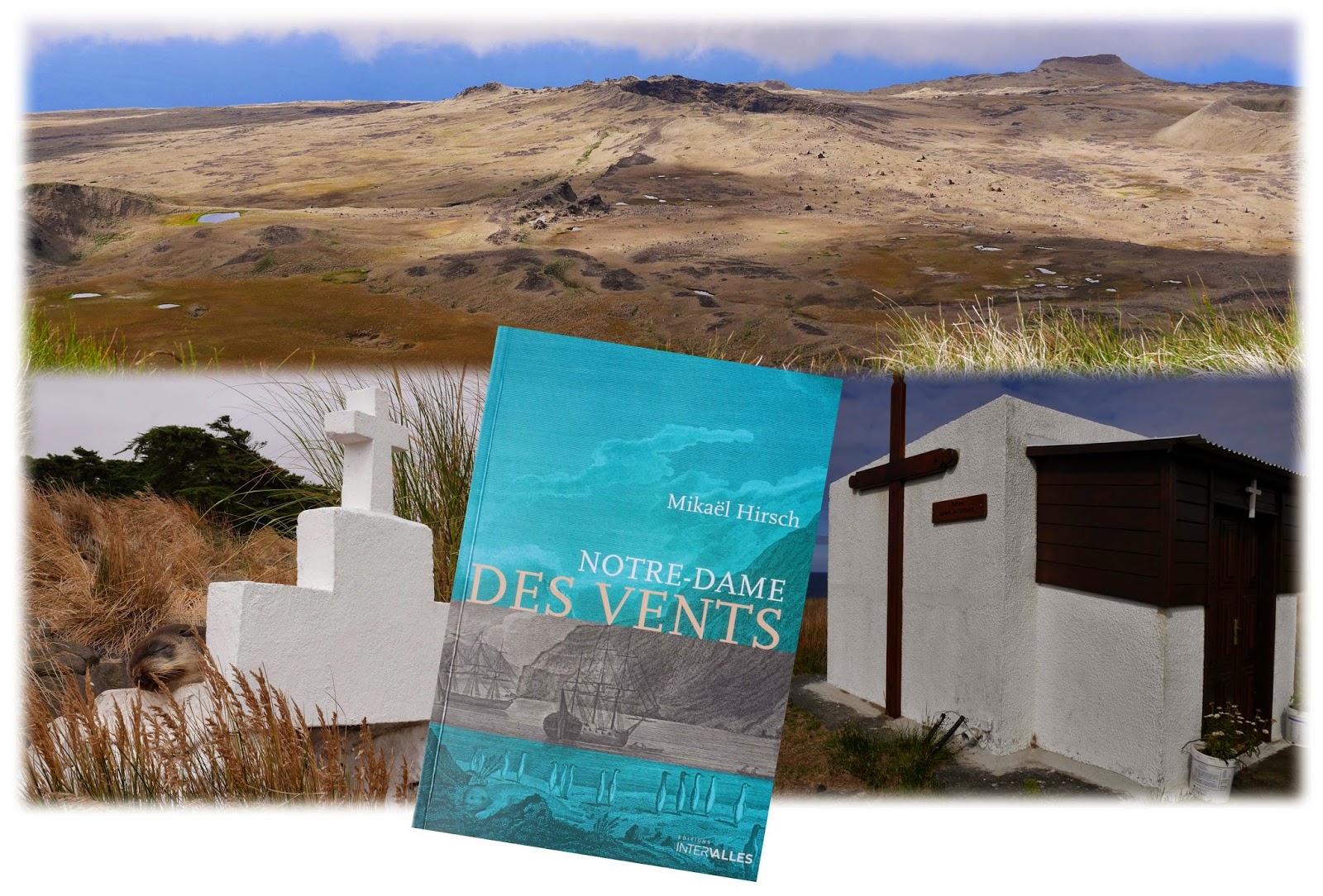 Blog officiel du district des îles SaintPaul et Amsterdam TAAF