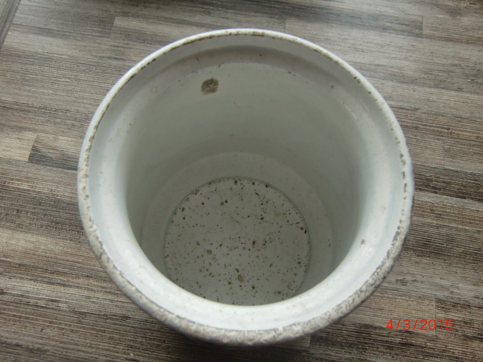 Kleine Se(e)ligkeiten: Große Ereignisse und kleiner GG-Flohmarkt