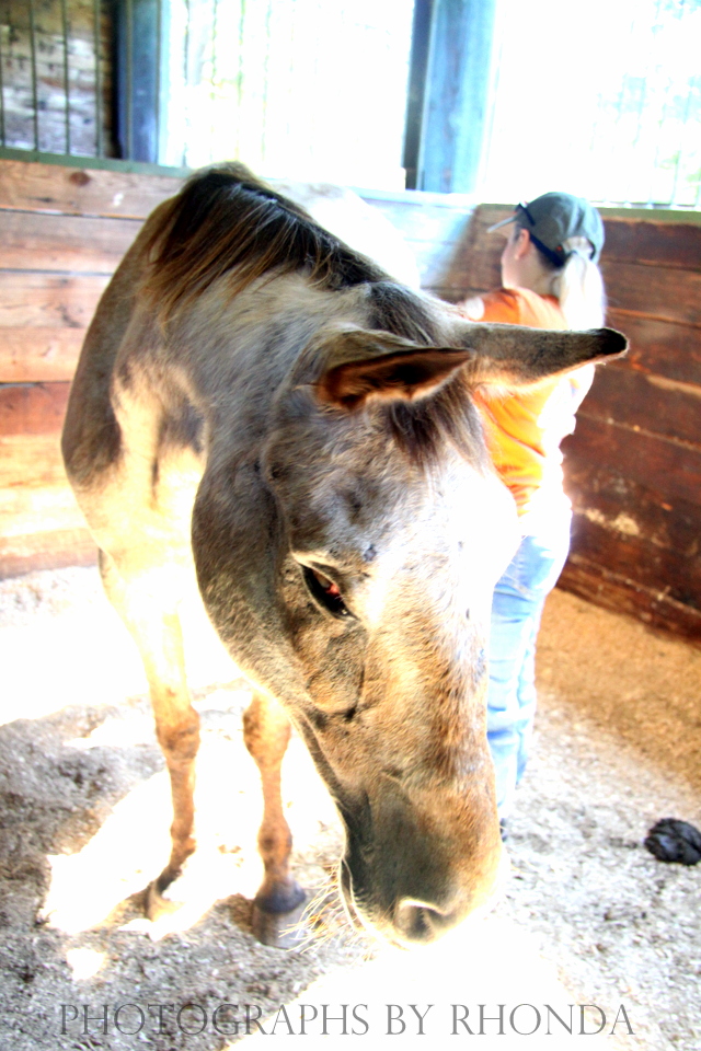 Photographs by Rhonda The HERO Portrait SeriesLucy