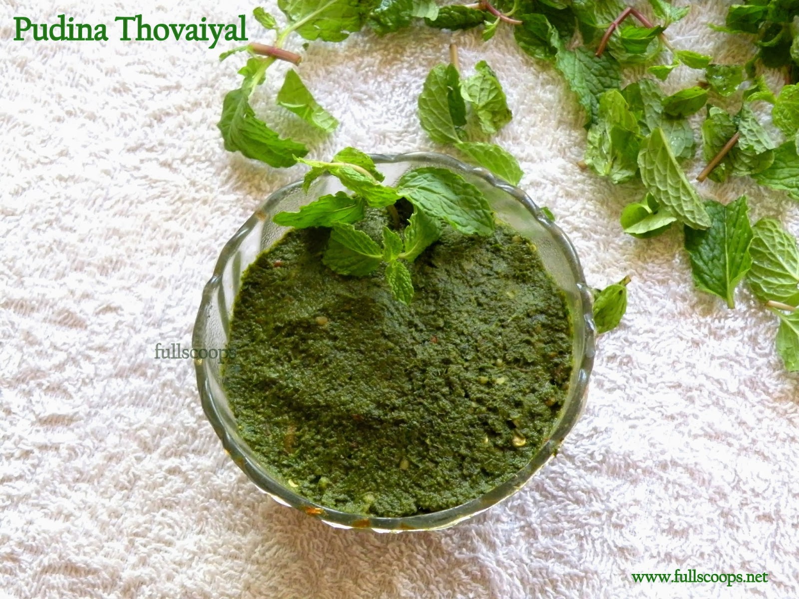 Mint Thogayal Recipe / Pudina Thovaiyal Recipe Full Scoops A food