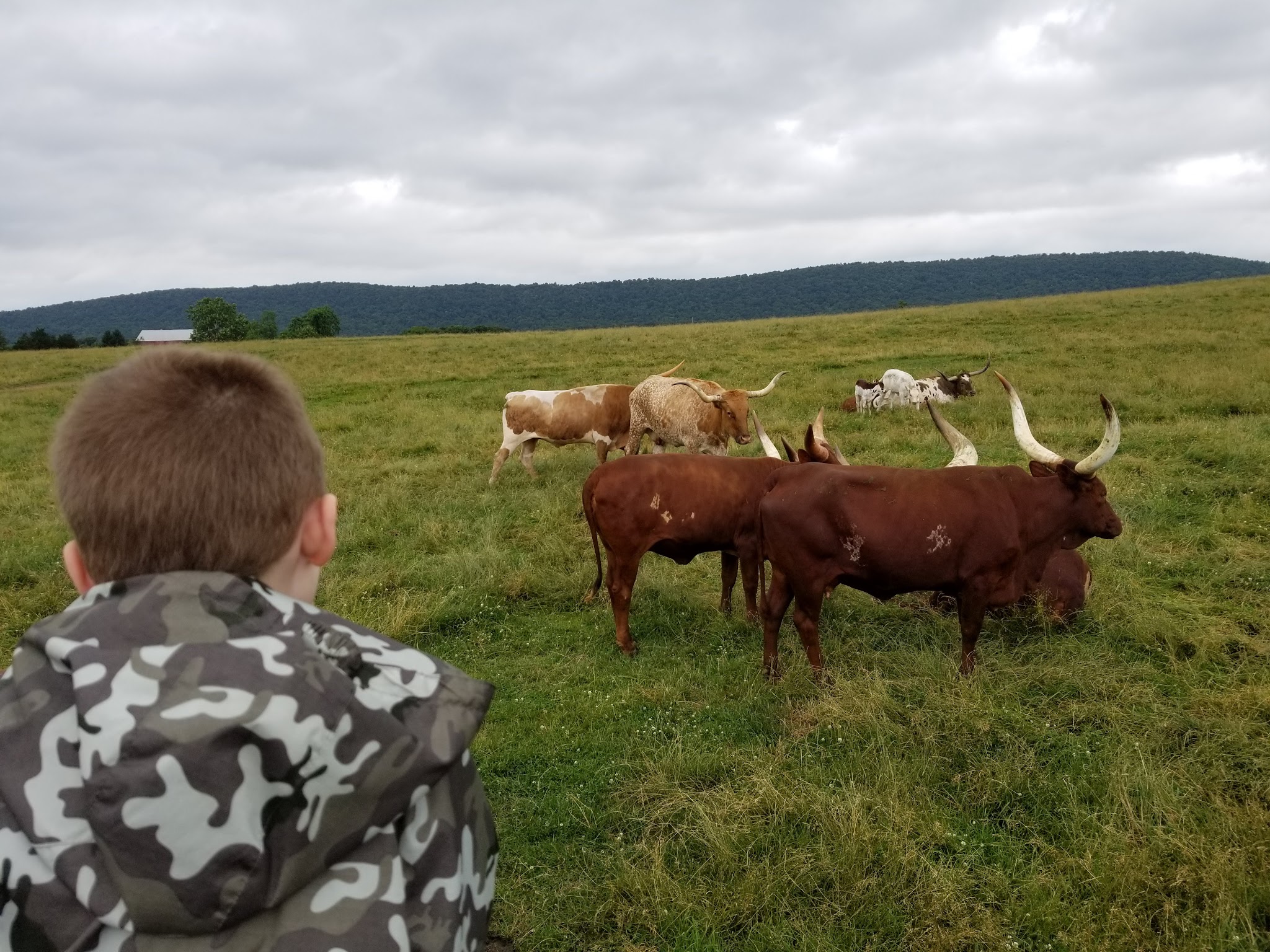 Safari Near Hershey Park in Pennsylvania