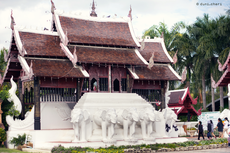 chiang mai royal park rajapruek chiang mai royal park rajapruek