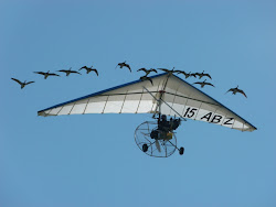 plane glider bird geese flying its engine microlight adventures bear ed nearer saw came both