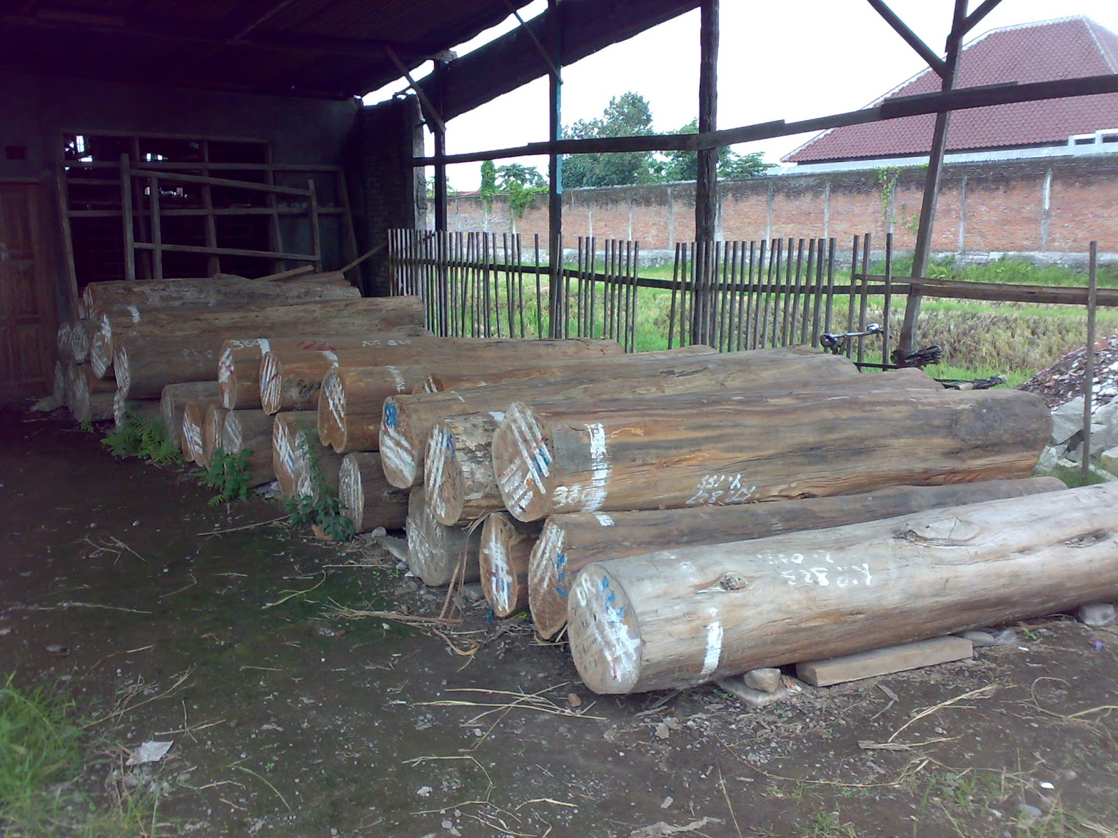 31+ Trend Terbaru Harga Kusen Pintu Jati Perhutani